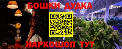стафф Лесосибирск