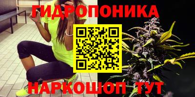 бошки Ливны